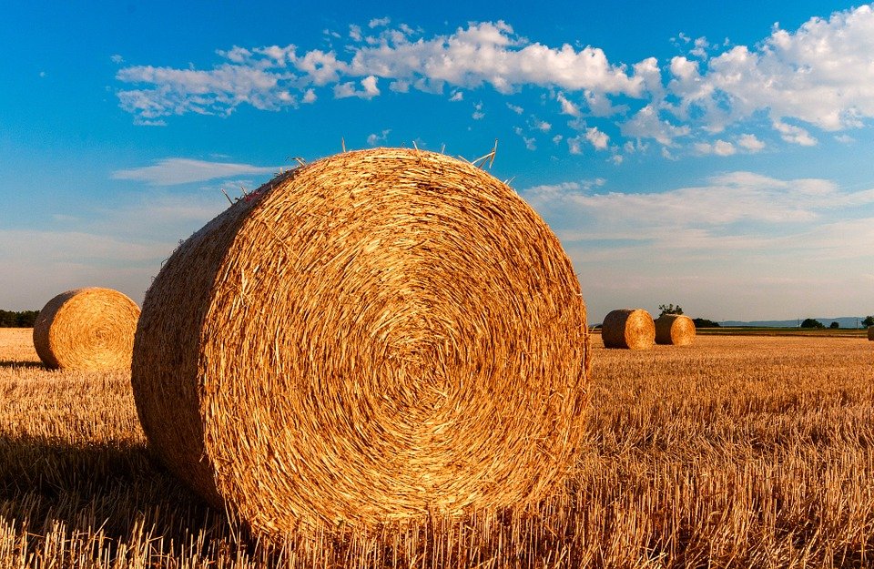 Prostran: A mezőgazdaság csak válságos időkben válik beszédtémává Szerbiában
