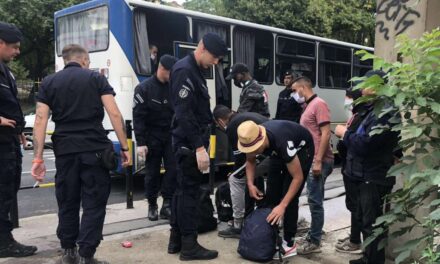 Hetvenhárom illegális bevándorlót fogtak el Zombor község területén