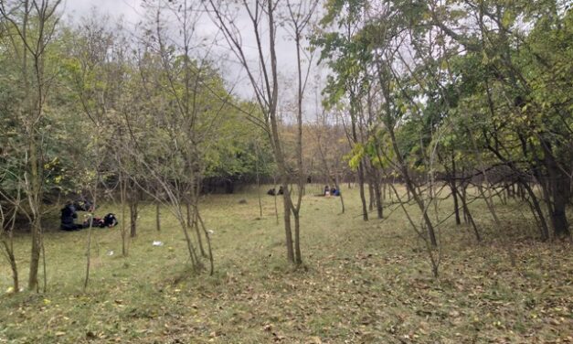 Körzetvezető: Nincs migránstábor Szabadkán és környékén