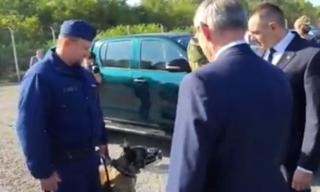 Vulin esete a rendőrkutyával (Videó)