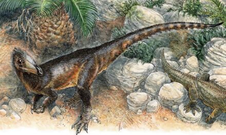 Új dinoszauruszfajt azonosítottak egy walesi leletegyüttesben