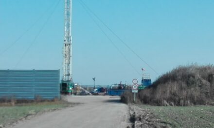 Mit tervez a Szerbiai Kőolajipari Vállalat Palicson és környékén?