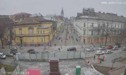I. Péter király szobrának építése miatt lezárják a Đuro Đaković utcát