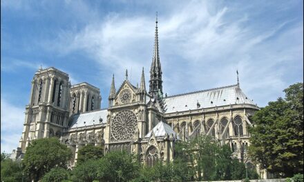 Ezer tölgy kell a Notre Dame felújításához
