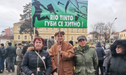 Brnabić fogadta a környezetvédelmi aktivistákat