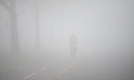 Szerbiában évente 15 ezren halnak meg a rossz minőségű levegő miatt