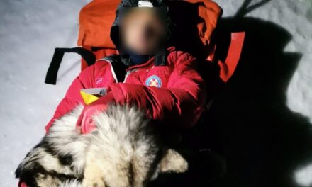 Egy kutya tizenhárom órán át melegítette és vigyázott a sérült hegymászóra