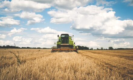 A mezőgazdasági összeírás elejét veheti a támogatási csalásoknak