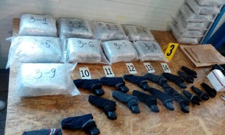 A szerb határrendőrök 16 kiló kábítószert és 20 pisztolyt találtak egy fiatal nő autójában