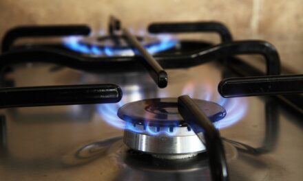 Korlátozta a földgáz árát a szerb kormány