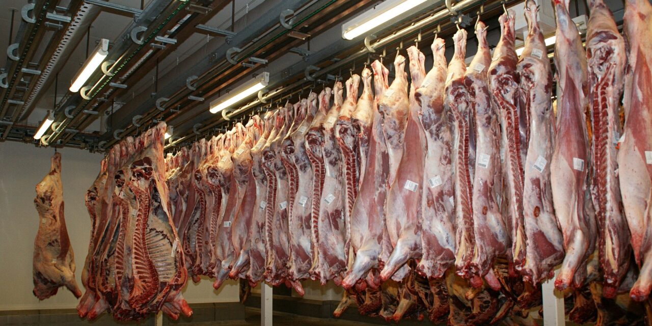 Ezer dinárba is kerülhet egy kiló disznóhús az év végéig