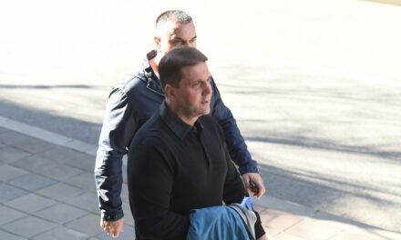 Előzetes letartóztatásban Darko Šarić és társai
