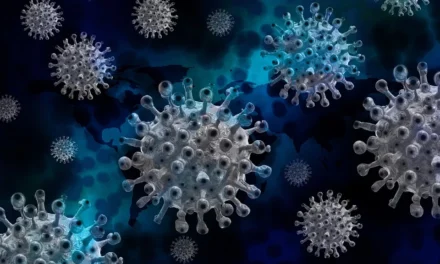 Vajdaságban több mint 2000 koronavírusos beteg van