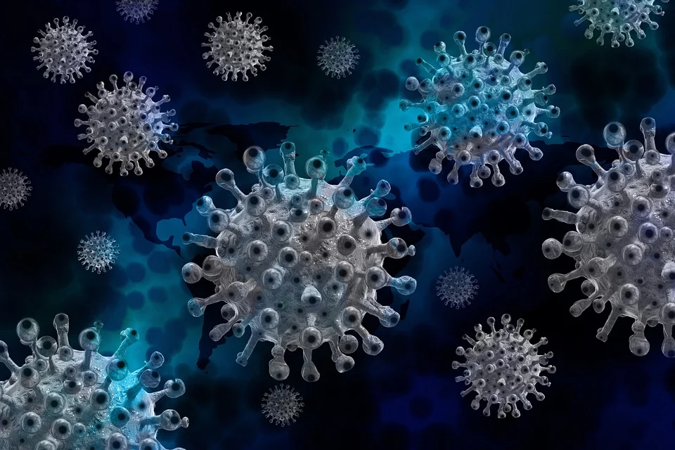 Vajdaságban több mint 2000 koronavírusos beteg van