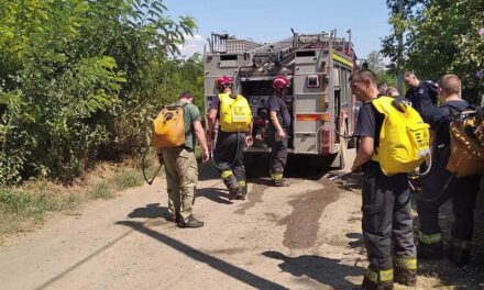 Tizenöt hektáron égett a fiatal akácerdő a Fruška Gorán