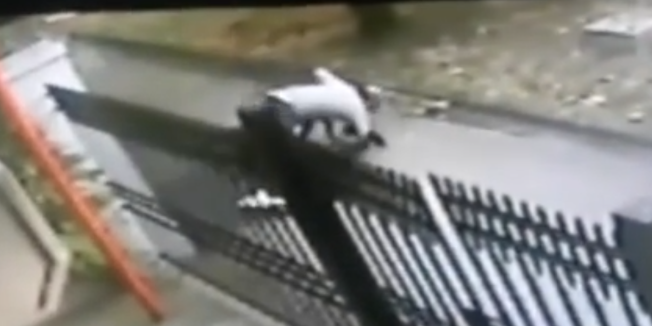 Ellopta a biciklit, amiről rögtön le is esett (Videóval)