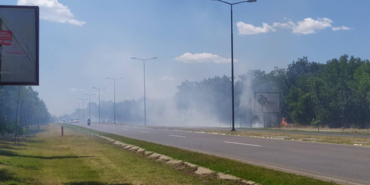 Tűz ütött ki a Palicsi út mellett