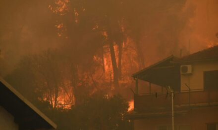Húsz lakóház semmisült meg, 3000 hektár területet pusztított el a horvátországi tűz (Fotók)