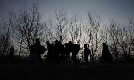Hetvenöt migránst szállítottak befogadó központba Nyugat Bácskában