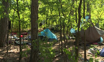 Migránsok okozhatták az erdőtüzet Radanovácon