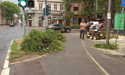 Ítéletidő Szerbiában is – kidőlt fák, leszakadt vezetékek