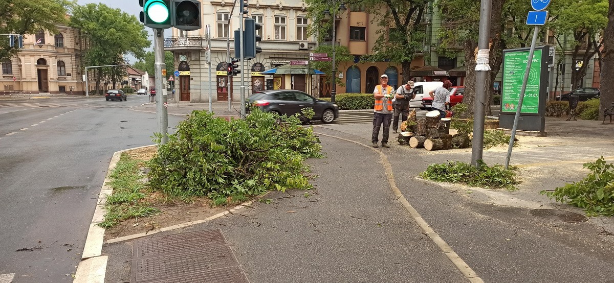 Ítéletidő Szerbiában is – kidőlt fák, leszakadt vezetékek