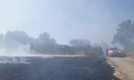 Nagy területen pusztít a tűz az újvidéki olajfinomító közelében
