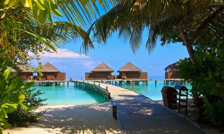 Mezítlábas könyvárust keresnek a Maldív-szigetekre