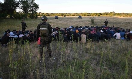 Mintegy háromszáz illegális bevándorlót gyűjtött össze a rendőrség a szerb-magyar határ közelében