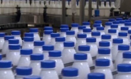 A termelők szerint szeptembertől tejhiány léphet fel