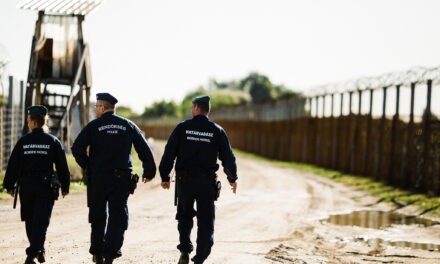 Három határsértőt tartóztattak fel Magyarországon