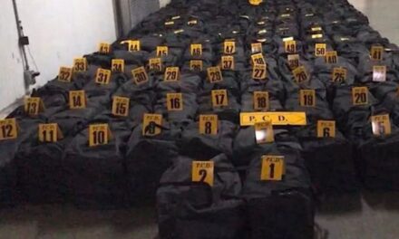 Két és fél tonna kokaint találtak meg egy Európába tartó konténerben