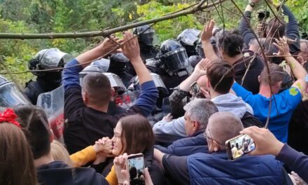 Brnabić a Sodrosról: Nem szép az újvidékiektől, hogy tiltakoznak
