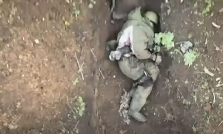 Az életét mentette meg a katona a gyors reakciójával (videó)