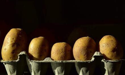 Maximalizálják a krumpli és a tojás árát Magyarországon