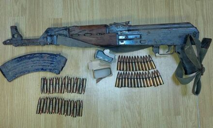 Kábítószert és fegyvereket találtak a pancsovai rendőrök Versecen és Antalfalván (Fotó)