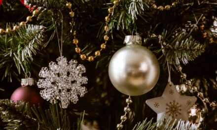 A topolyai szülők nem tudták, hogy a VMSZ szervezésében vitték karácsonyfát díszíteni óvodáskorú gyerekeiket
