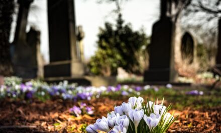 Virágzik az illegális temetkezési ipar Szerbiában