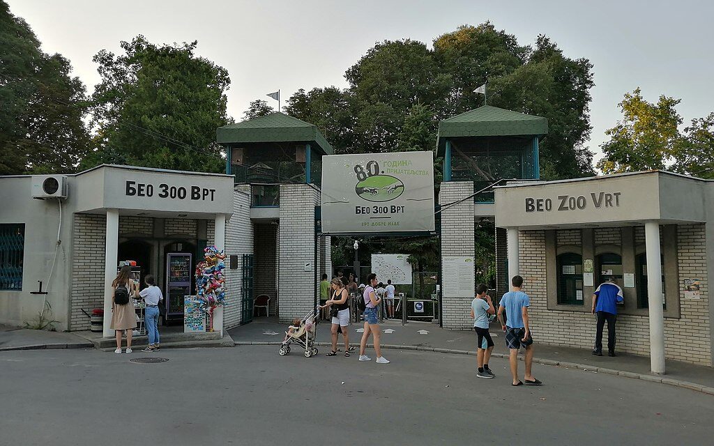 Áthelyezik a belgrádi állatkertet