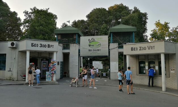 Még rengeteg kérdés övezi a belgrádi állatkert költözését