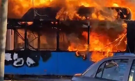 Felemésztették a lángok a csuklós buszt, sűrű füst gomolyog Újvidéken