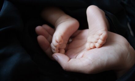 Ügyészség: A fagyasztóban talált kisbaba már halva született