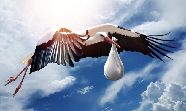 Fogamzásgátló mellé súlycsökkentő gyógyszert szedő nők maradtak terhesek