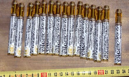 Hasisolajjal töltött elektromos cigarettákat és több kilogramm fehér port találtak a zombori dílereknél