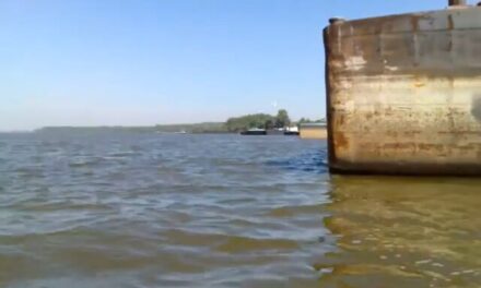 Egy nő holttestére bukkantak a Duna bal partján Pancsovánál