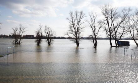 A Száva vízállása hamarosan meghaladja az árvízvédelmi szintet
