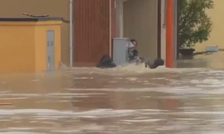 Szerb férfi mentett meg egy kisbabát és édesanyját az áradás sújtotta olasz városban (Videó)