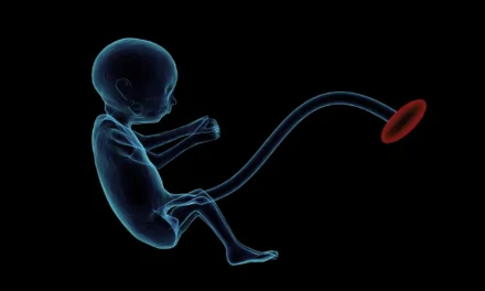 Létrehozták az első szintetikus emberi embriót