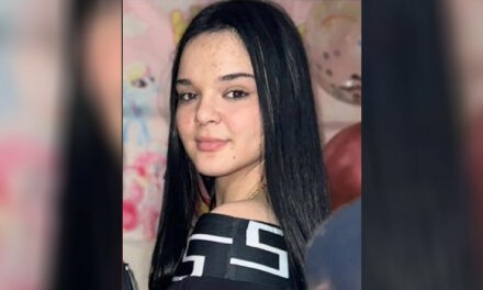 Eltűnt egy 15 éves Újvidék környéki lány
