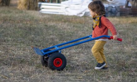 A jövedelemkiegészítés miatt majdnem minden tizedik szerbiai gyereknek dolgoznia kell